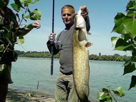 ...a fárasztás gyümölcse